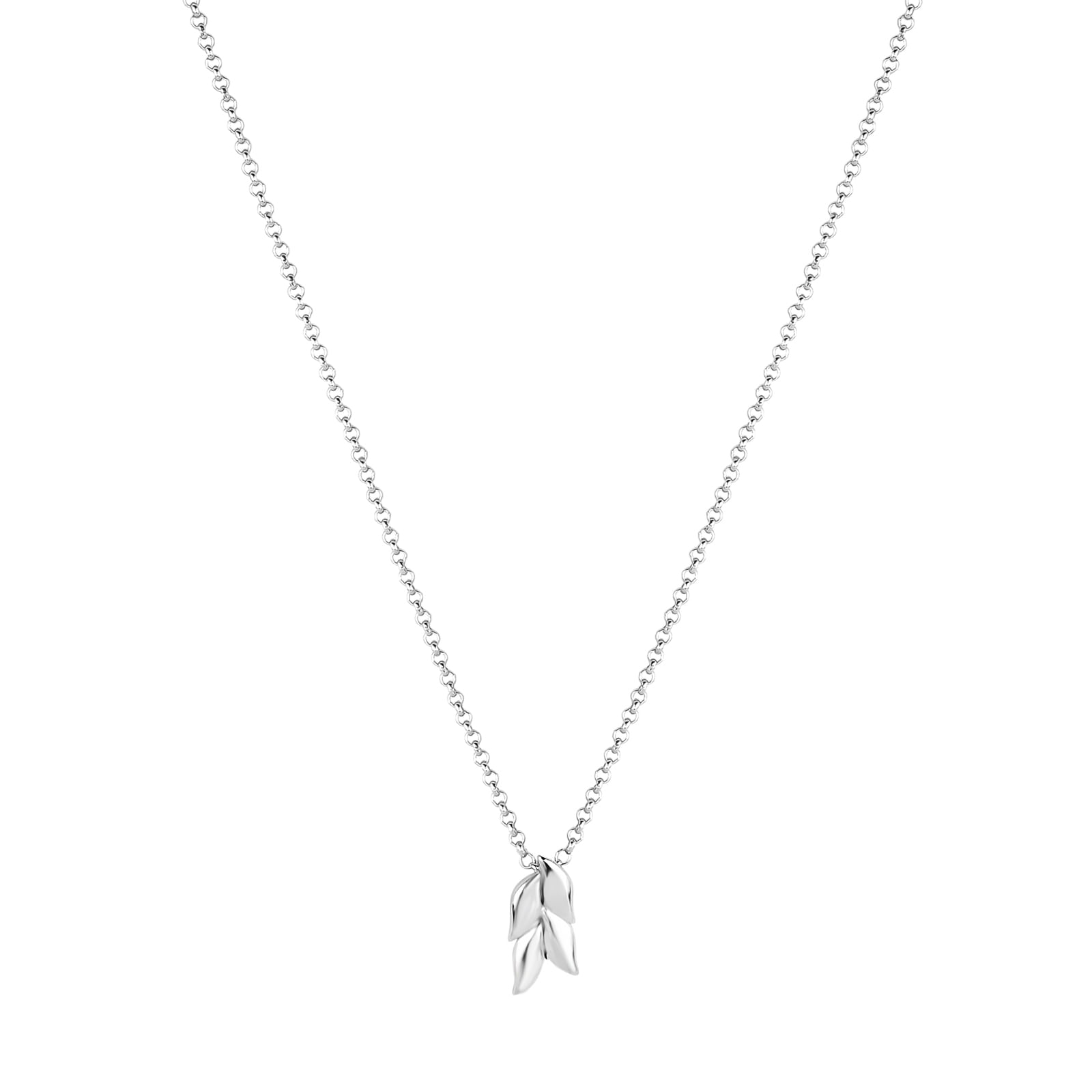 Colar Life Folhas em Prata 925